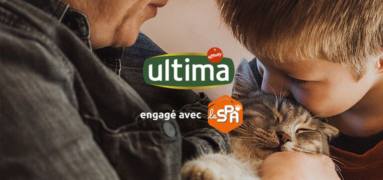 ART FR Ultima y SPA web-xl-l-m_web-xl.png